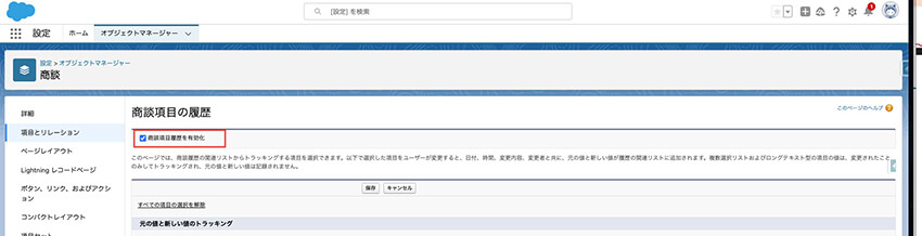 Sales Force 09