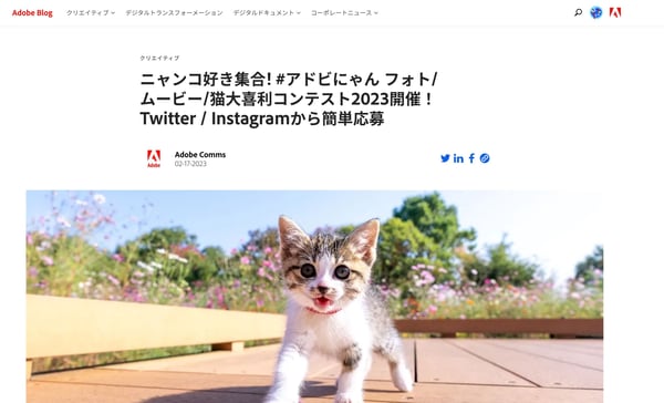 アドビのSNSキャンペーン事例