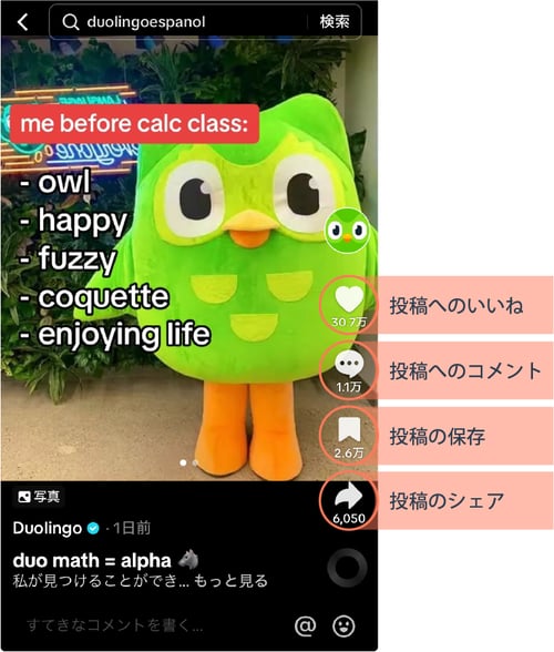 効果の分析