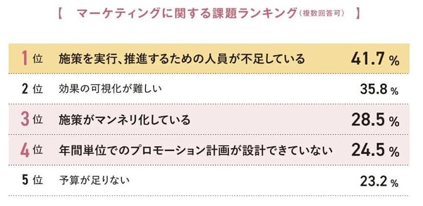 2.マーケティングに関する課題ランキング(タナベコンサルティンググループ)