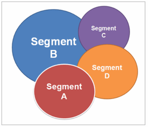 Segment