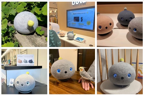 5.NICOBOのいる暮らし